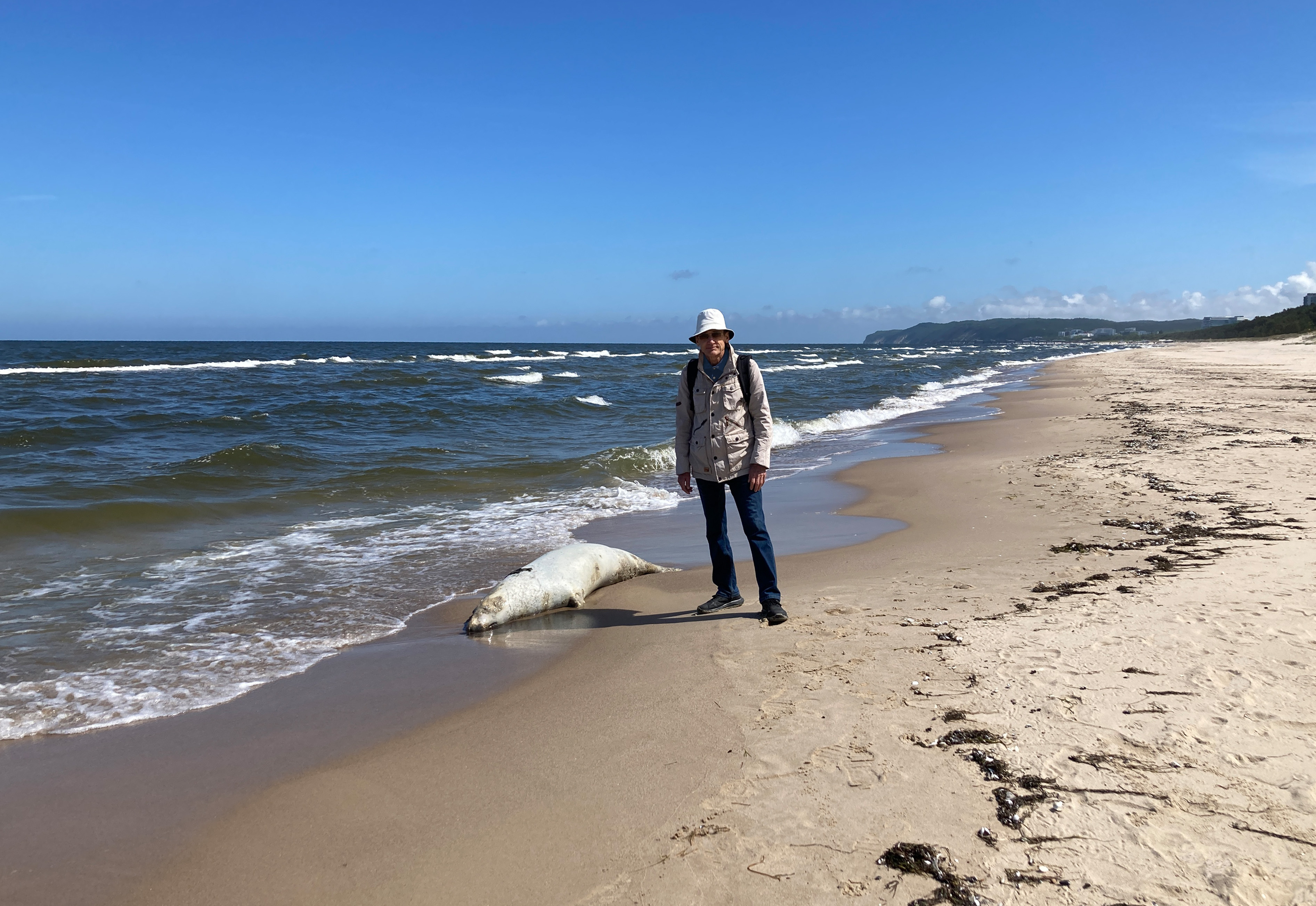 Ein Bild